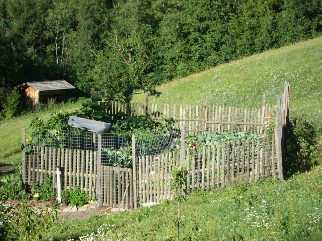 Winnewieser Vandoies Ngoại thất bức ảnh