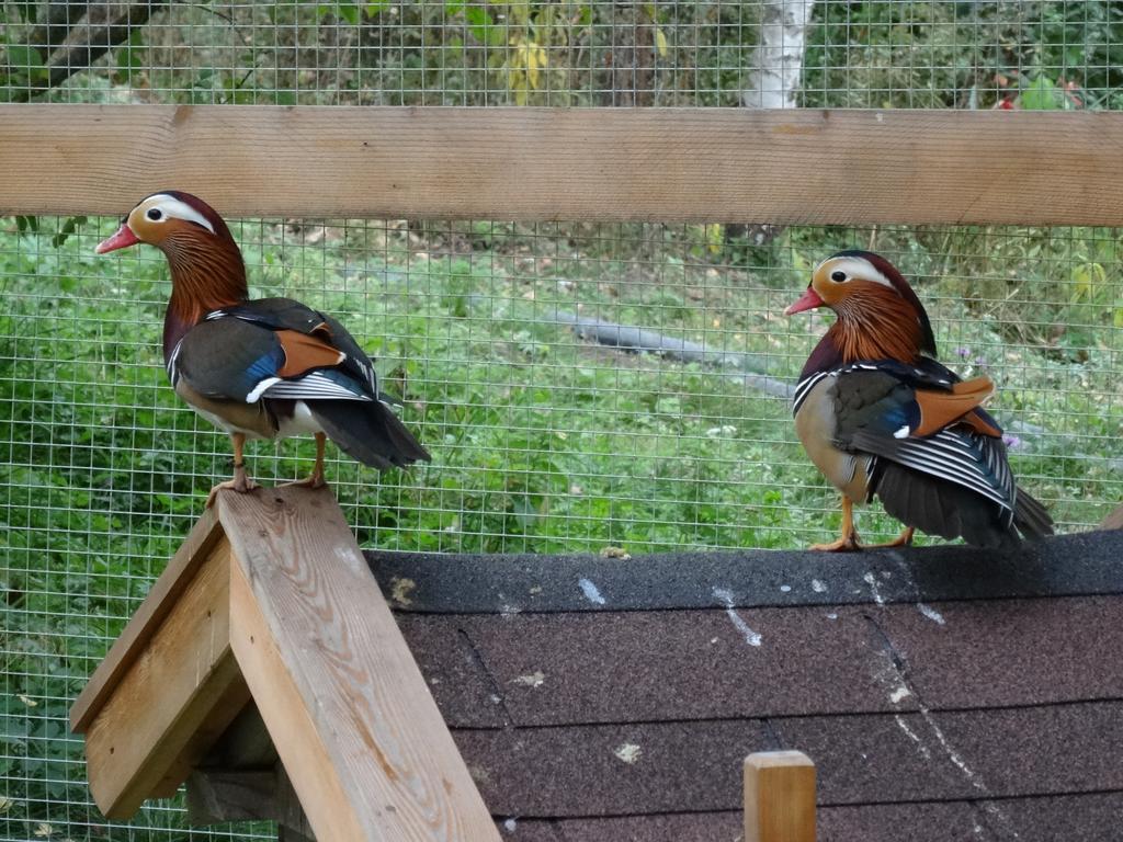 Winnewieser Vandoies Ngoại thất bức ảnh