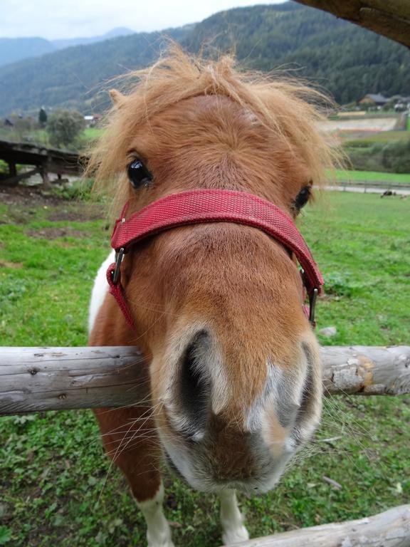 Winnewieser Vandoies Ngoại thất bức ảnh