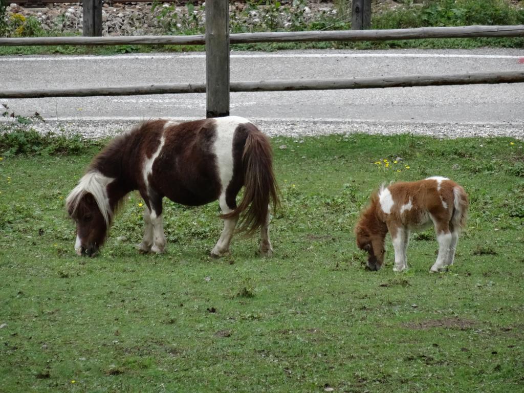 Winnewieser Vandoies Ngoại thất bức ảnh
