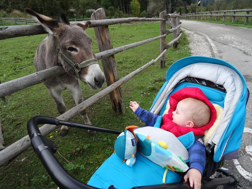 Winnewieser Vandoies Ngoại thất bức ảnh